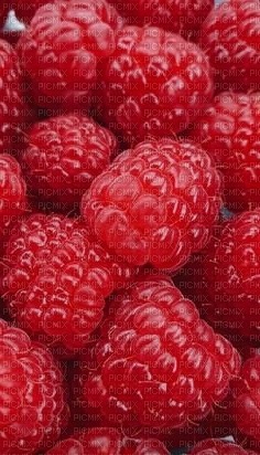Raspberry - By StormGalaxy05 - png ฟรี