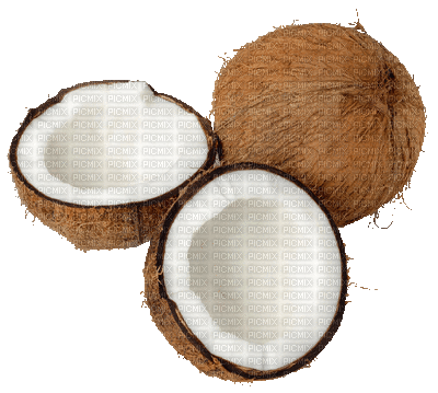 coconut - GIF animado grátis