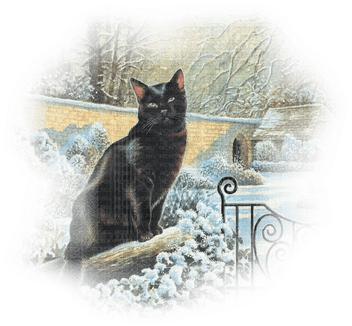 Winter, Katze - бесплатно png