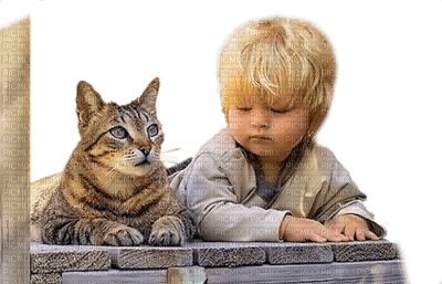 Kaz_Creations Baby Enfant Child Boy Cat - PNG gratuit
