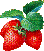 fraises - Δωρεάν κινούμενο GIF