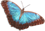 soave deco butterfly blue brown - png ฟรี