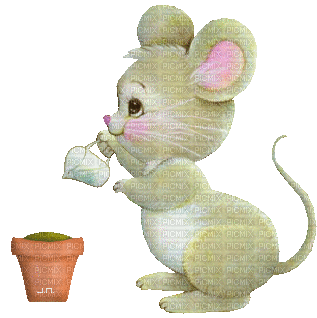mouse - Free animated GIF