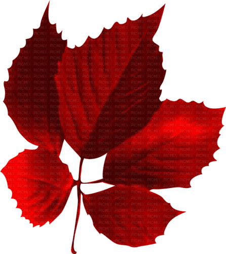 Leaf.Red - 免费PNG