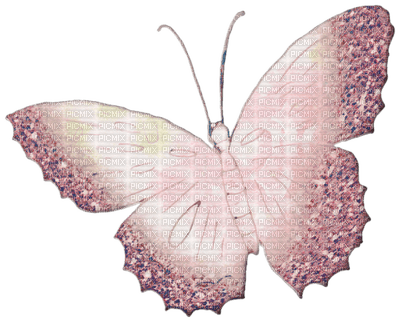 patymirabelle papillon - bezmaksas png