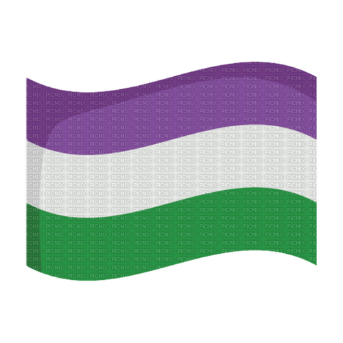 Genderqueer flag - PNG gratuit