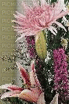flowers and fruit basket - Ilmainen animoitu GIF