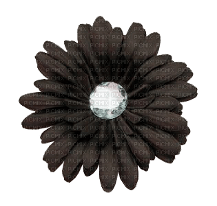 Flowers black bp - kostenlos png