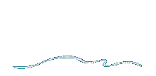 Dolphin - Zdarma animovaný GIF