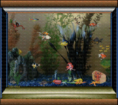 аквариум - GIF animate gratis