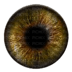 Kaz_Creations Eyes Eye Colours - 免费PNG