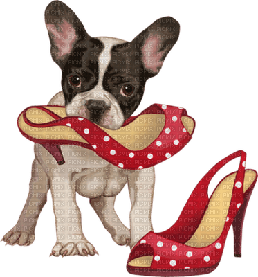 dog chien hund tube animal schuhe shoes chaussures - PNG gratuit