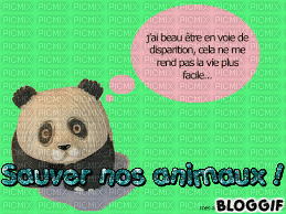 Pauvre panda - Besplatni animirani GIF