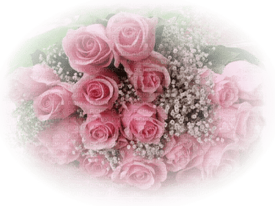 patymirabelle roses - PNG gratuit