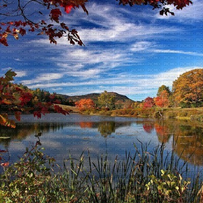 autumn landscape - gratis png