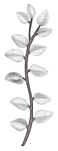 white leaves branch - бесплатно png