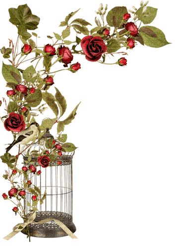 Cage.Red roses.Branch.Victoriabea - бесплатно png