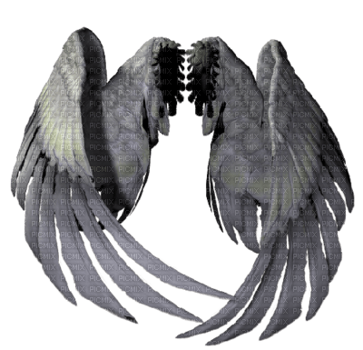 cecily-ailes ange tube - besplatni png