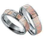 rings anneaux - ilmainen png