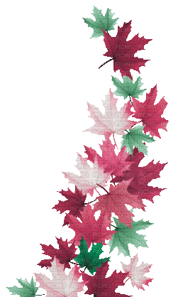 soave deco autumn animated leaves branch pink - 免费动画 GIF