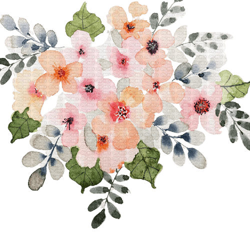 kikkapink watercolor flower - bezmaksas png