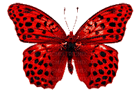 бабочка 000 - Darmowy animowany GIF