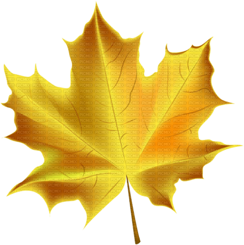 autumn leaf Bb2 - zdarma png