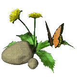 fleur papillon Danna1 - GIF animado gratis