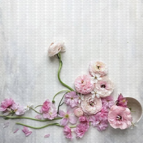 Background Flowers - 無料png
