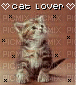 Cat Lover Icon - Gratis animeret GIF