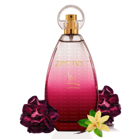 Perfume Fruit Flowers Deco - Bogusia - бесплатно png