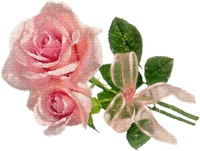 Sparkly pink roses - 免费动画 GIF