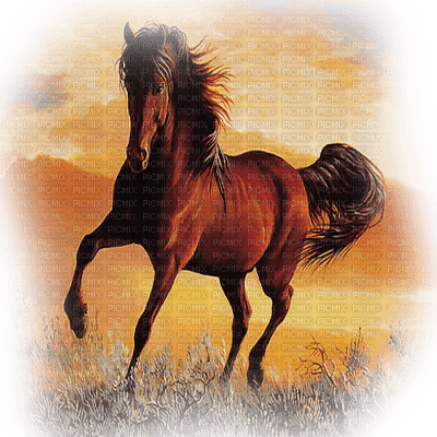 HORSE - darmowe png