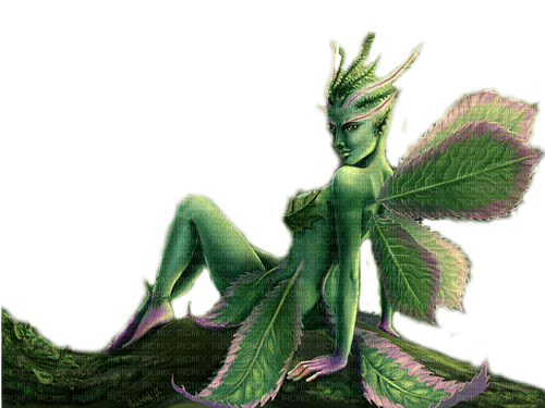fairy by nataliplus - zadarmo png