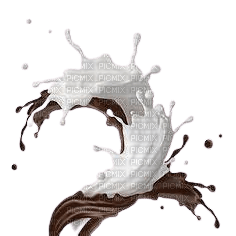 Chocolat noir et blanc - PNG gratuit
