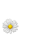 deco flower_gif - Бесплатный анимированный гифка
