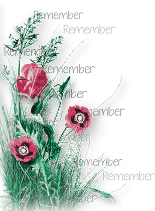 soave deco flowers poppy corner branch text - PNG gratuit