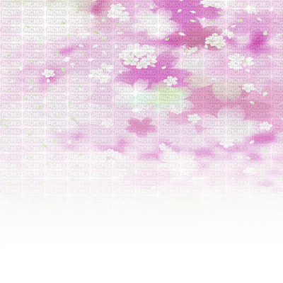 flower overlay - 免费PNG