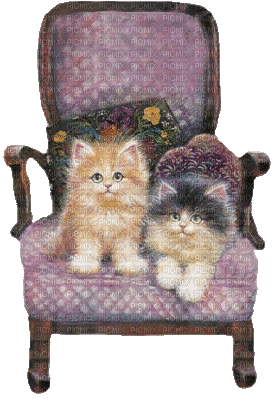 Cats on a Chair - GIF animé gratuit