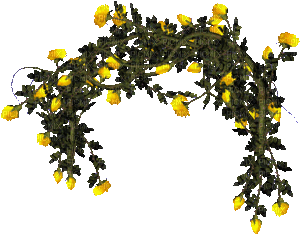 Bloemen en Planten - Bezmaksas animēts GIF