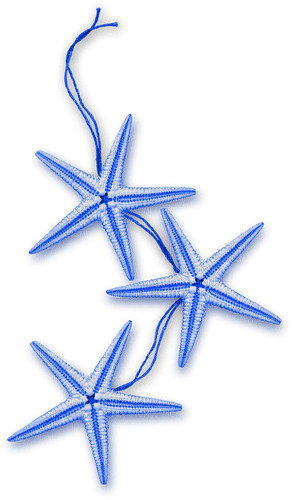 Starfish.Blue - PNG gratuit