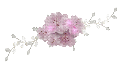 Flower Decoration - png ฟรี