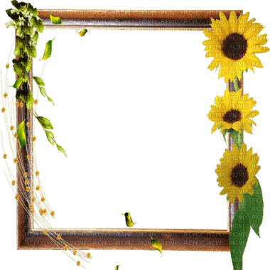cadre frame autumn automne - 免费PNG