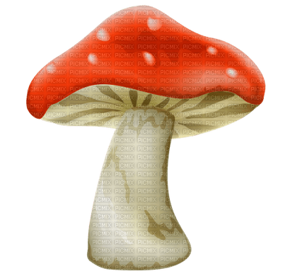 Kaz_Creations  Mushrooms Mushroom - безплатен png