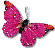 Butterfly - borboleta - Zdarma animovaný GIF