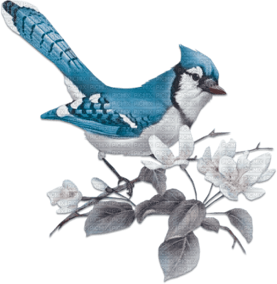 soave deco spring bird branch flowers blue brown - png gratuito
