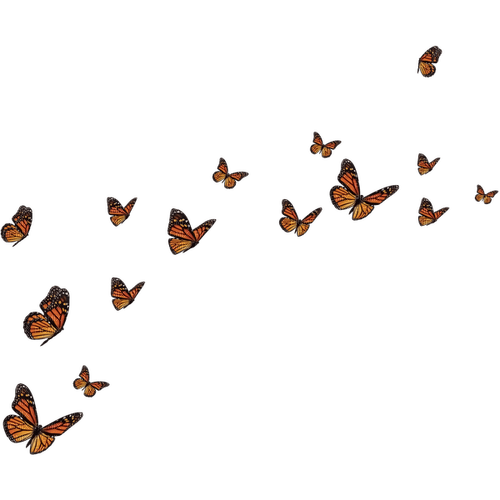 Butterflies ♫{By iskra.filcheva}♫ - PNG gratuit
