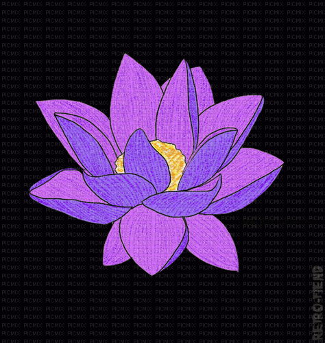 FLOWER - 無料のアニメーション GIF
