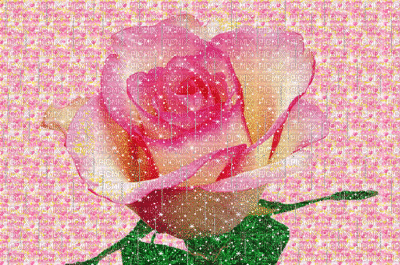 Rosa - Δωρεάν κινούμενο GIF