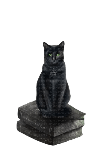witch cat - ücretsiz png